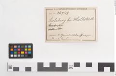 Etiketten zu Bronzegürtelblech (NHMW-PRAE-026748)